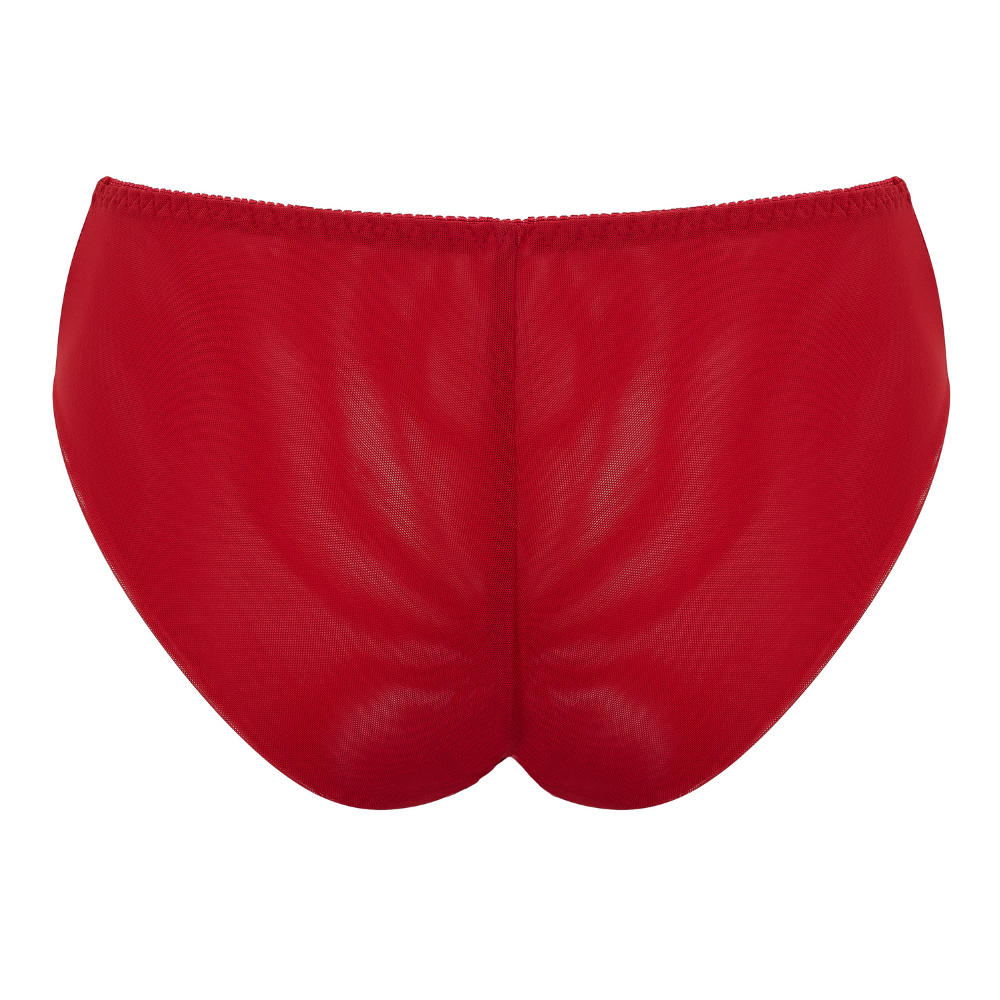 Little Women Scarlett brief