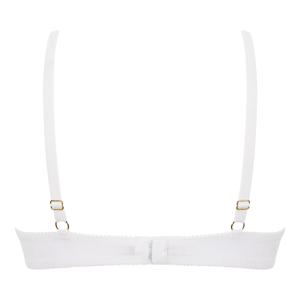 Little Women Amour Bra Non Wired and Padded