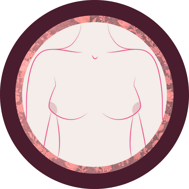 Pointed breast shape illustration