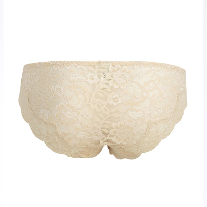 Lulu Stretch Lace Brief back- milk tea