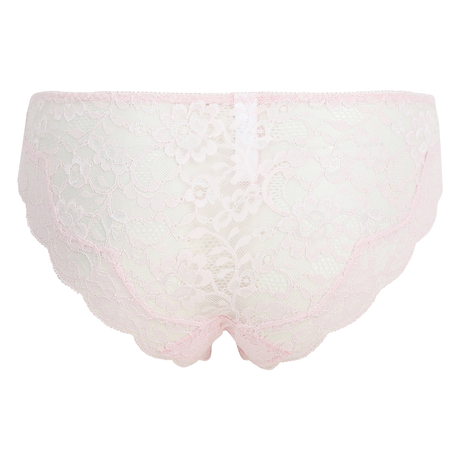 Lulu Stretch Lace Brief - Pale Pink Back